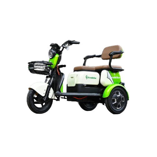 Evobike-Family-1