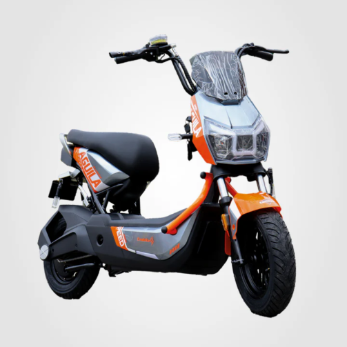 tupatineta-evobike-aguila-gris